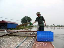   Về việc cung cấp thông tin sản phẩm trước khi lưu thông trên thị trường và báo cáo hoạt động sản xuất, nhập khẩu