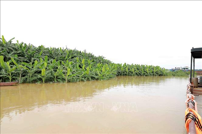   Về việc phòng, chống ngập úng và bảo đảm an toàn công trình thủy lợi do mưa lớn ảnh hưởng của rãnh áp thấp gây ra