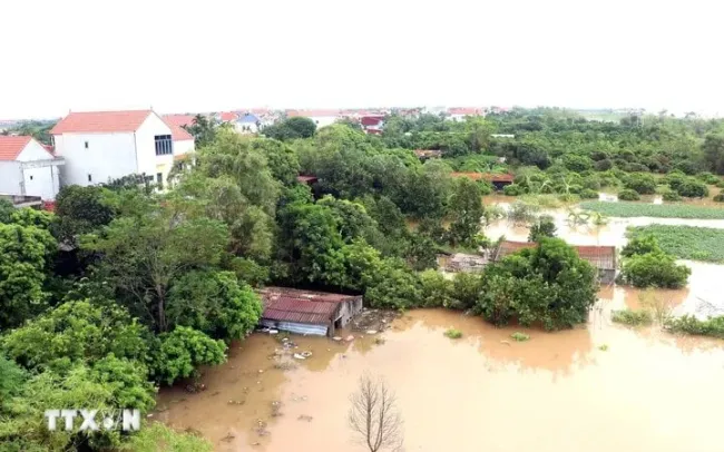   Ban chỉ huy Phòng chống thiên tại và TKCN tỉnh Hưng Yên phát lệnh báo động II trên tuyến đê tả sông Hồng kể từ 7 giờ 00 phút, ngày 11/9/2024