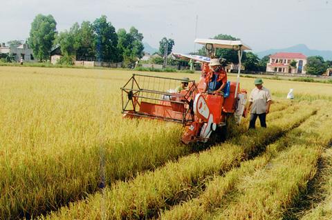   Lý luận về xây dựng NTM còn đi sau thực tiễn